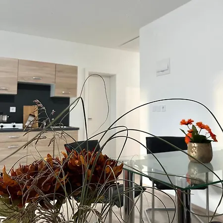 Old Linden Tree Apartman